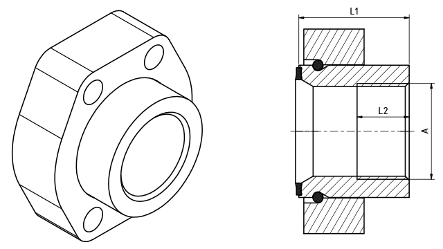 Écrous hexagonaux en polypropylène avec façade ronde et bride arrière Filetage BSP fin 1 BSP PACK OF 2 